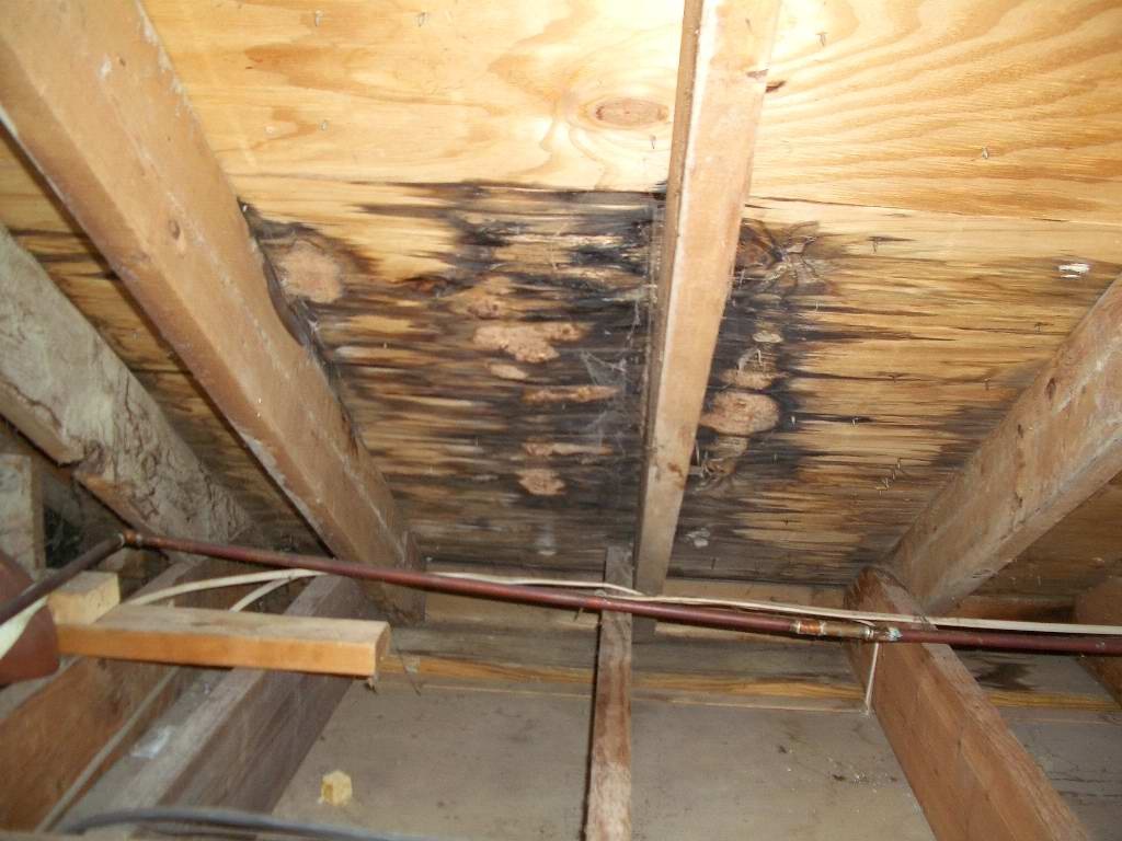Can A Roof Be Patched From The Inside?